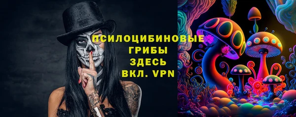 mdpv Бугульма