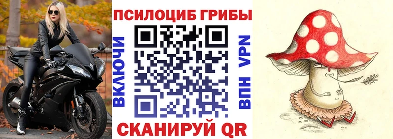 OMG вход что такое Электросталь Галлюциногенные грибы Psilocybine cubensis